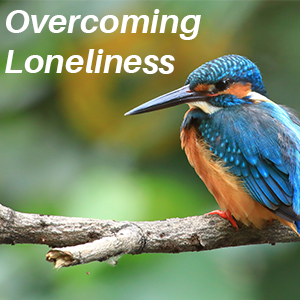 Dealing with Daily Difficulties: Loneliness